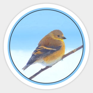 Goldfinch Sticker